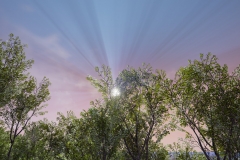 HighresScreenshot00005