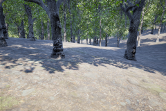 HighresScreenshot00043