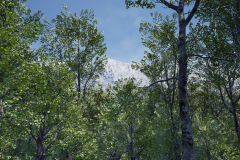 HighresScreenshot00048