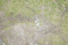 HighresScreenshot00056